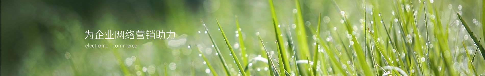 Ǳ޹˾